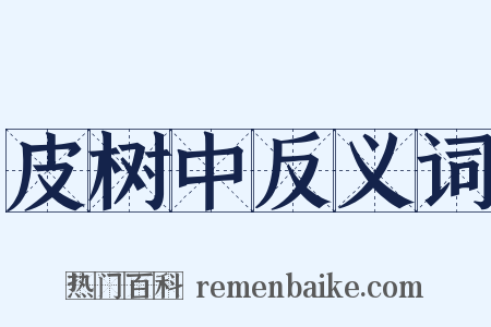 皮树中反义词是什么意思的图片